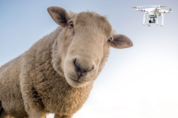 Forget Precision Agriculture: Drone Herding Is Taking Off