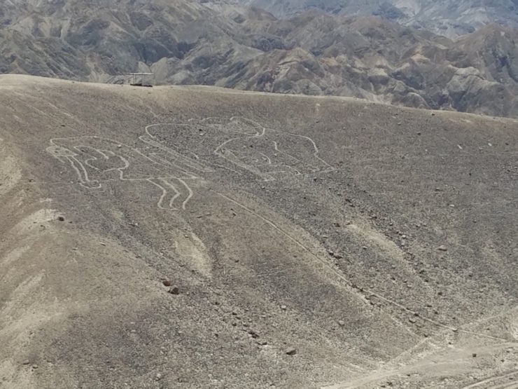 Drone Discovers Ancient Etchings in Peru