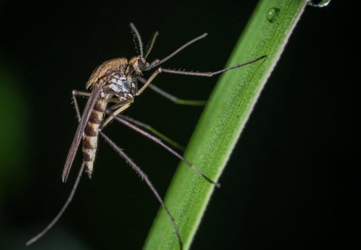 Using Drones To Fight Malaria