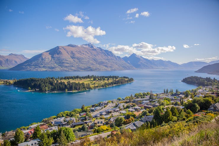 Using Drones in New Zealand to Control the Possum Population