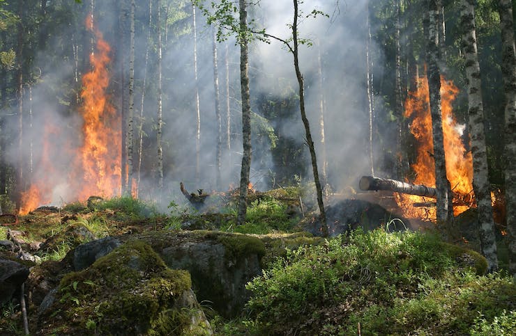 Using Drones to Help Fight Forest Fires