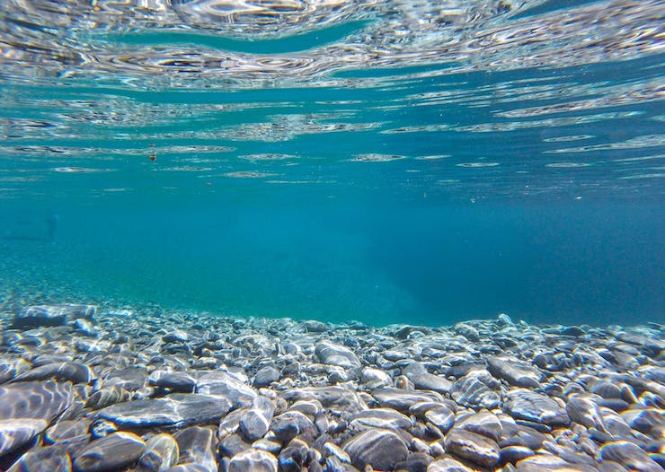 12 Year Old Student Building An Underwater Drone to Search For and Remove Microplastics