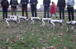 Massachusetts Institute of Technology (MIT) Creates Cheetah Robots