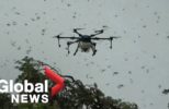 Drones Help Control the Locust Swarms In India