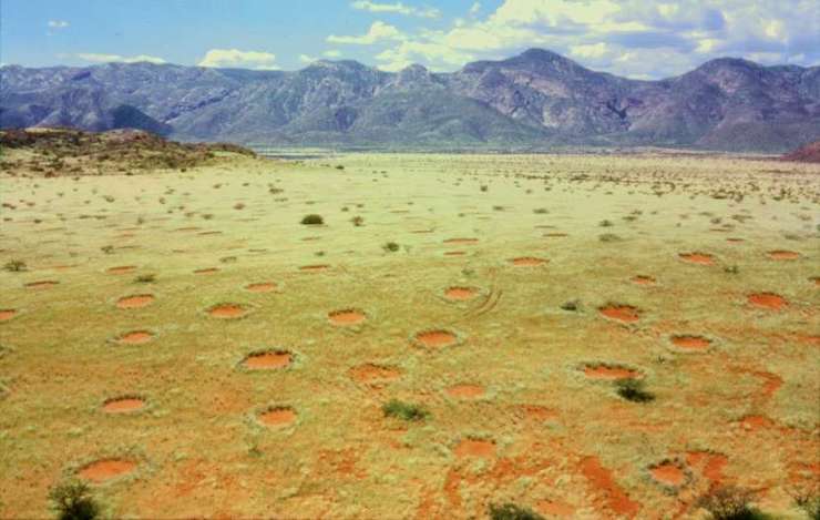 Scientists Use Drones to Monitor "Fairy Circles" to Help Determine How They Are Created