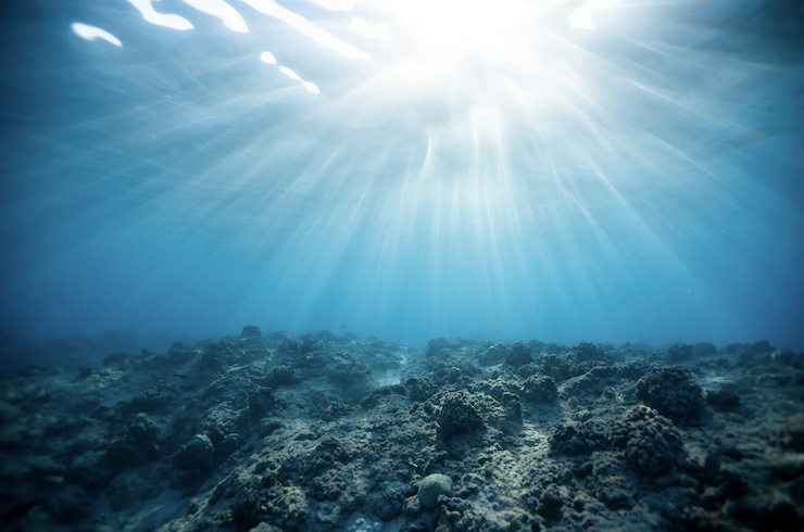 Underwater Drone Discovers World War 1 Shipwreck