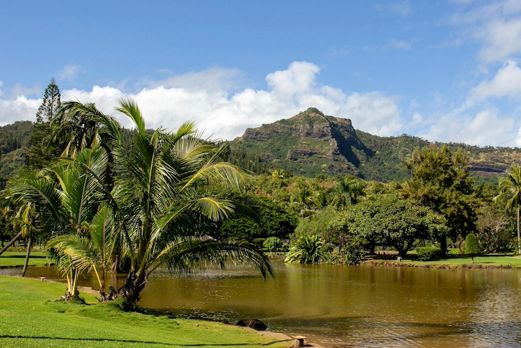 Native Hawaiian Fish Ponds Restored with Drone Technology