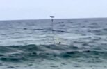 Drone Fisherman Uses His Drone to Save Drowning Girl in Florida