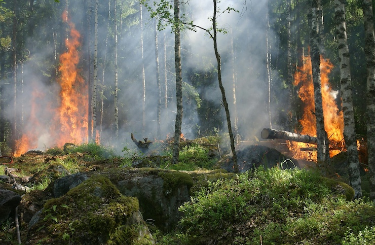 Drones Help Fight Wildfires Before They Spread