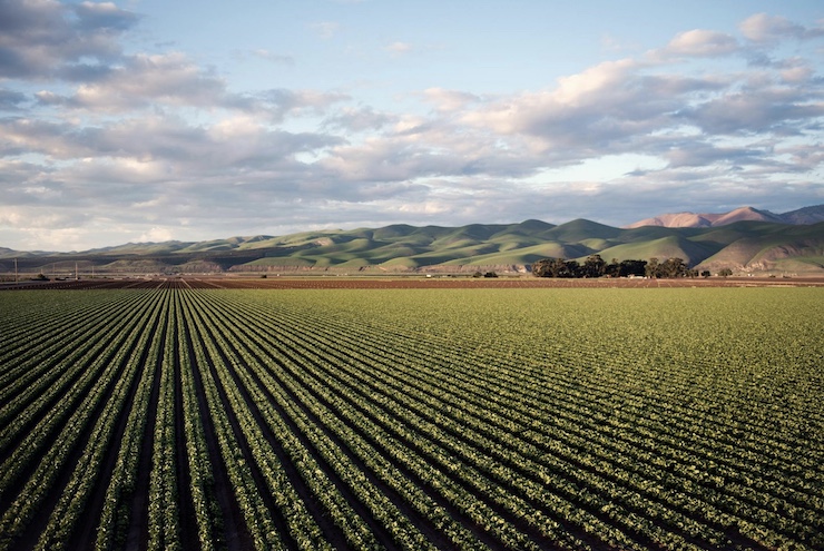 How Drone Technology Is Helping Combat Global Food Scarcity