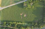 Pine Creek Corn Maze drone show over a Pennsylvania cornfield